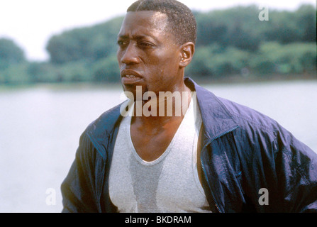 MURDER AT 1600 (1997) WESLEY SNIPES MA16 050 Stockfoto