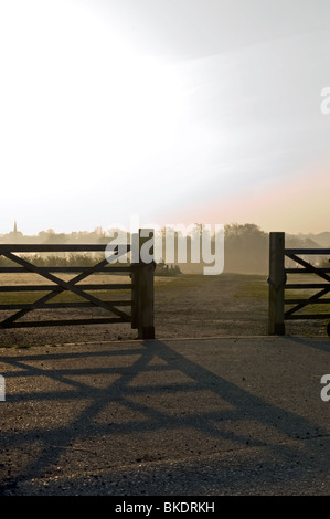 Tor am nebligen Morgen im Hylands Park in Chelmsford mit Ein klarer Himmel und Bäume am Horizont Stockfoto