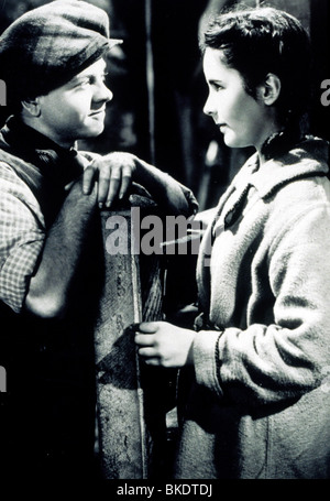 NATIONAL VELVET (1944) MICKEY ROONEY, ELIZABETH TAYLOR NVLT 001 Stockfoto