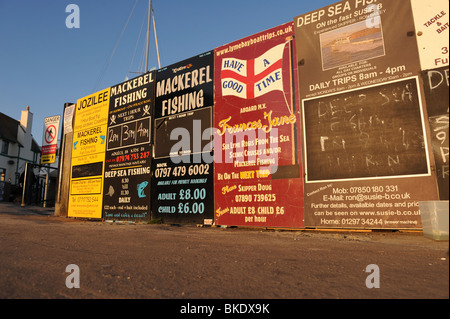 Boat Trip Werbetafeln in Lyme Regis, Dorset Stockfoto