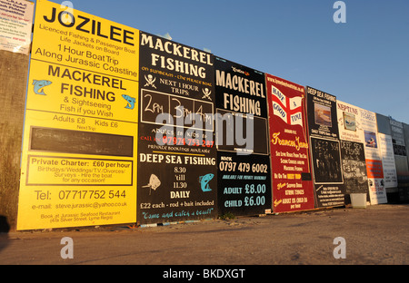 Boat Trip Werbetafeln in Lyme Regis, Dorset Stockfoto