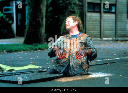 RAINING STONES (1993) BRUCE JONES RNST 026 Stockfoto