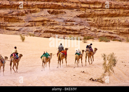 Kamel Zug in der Wüste, Wadi Rum, Jordanien Stockfoto