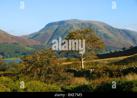 Buttermere Fells über Crummock Wasser, Lake District, Cumbria, England, UK, Europa Stockfoto