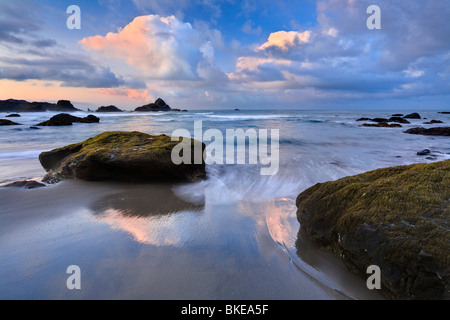 Felsküste bei Harris State Park Strand-Brookings, Oregon, USA. Stockfoto