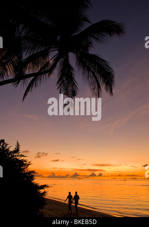 Palmen am Strand von Biyadhoo Island bei Sonnenuntergang, paar, Indischer Ozean, Süd Male Atoll, Malediven Stockfoto