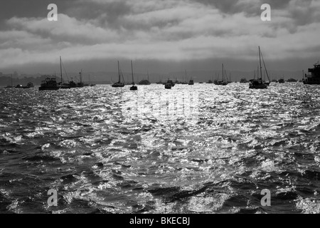 Viele Boote auf dem Wasser in den Horizont in der San Francisco Bay Stockfoto