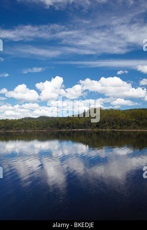 Reflexionen im Macquarie Harbour in der Nähe von Mund von Gordon River, Franklin - Gordon Wild Rivers National Park, Tasmanien, Australien Stockfoto