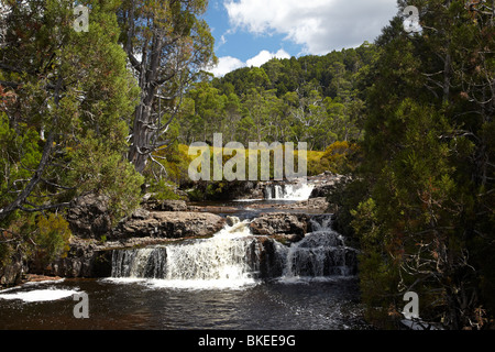 Wasserfälle, Pencil Pine Creek, Cradle Mountain - Lake St. Clair National Park, westlichen Tasmanien, Australien Stockfoto