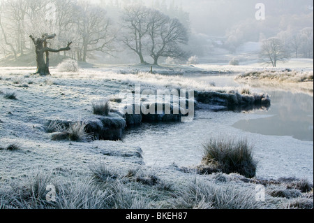 Frost in der Morgendämmerung auf dem Fluß Brathay in der Nähe von Ambleside UK Stockfoto