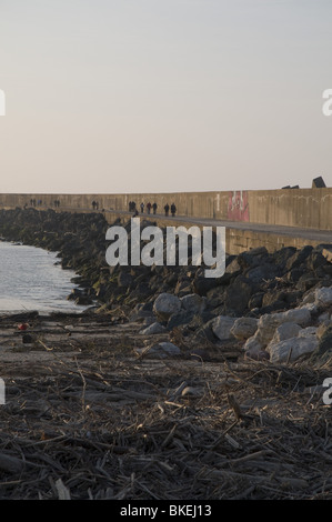 La Plage De La Barre À Embouchure de Adour À Anglet - der Strand von "La Barre" an der Mündung des Adour in Anglet Stockfoto