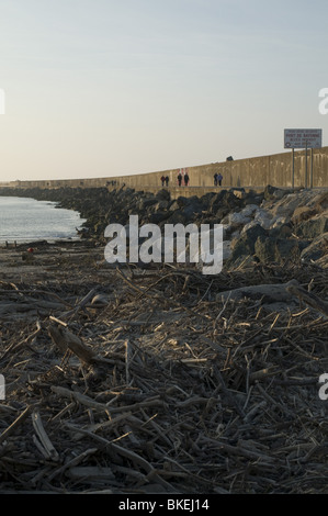 La Plage De La Barre À Embouchure de Adour À Anglet - der Strand von "La Barre" an der Mündung des Adour in Anglet Stockfoto