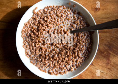 Coco Pops Frühstücks-Cerealien in Schüssel Stockfoto