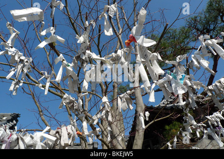 Viel Glück Glück Papiere gebunden an Bäumen und Angebote an Zenkoji Tempel, Nagano, Japan Stockfoto