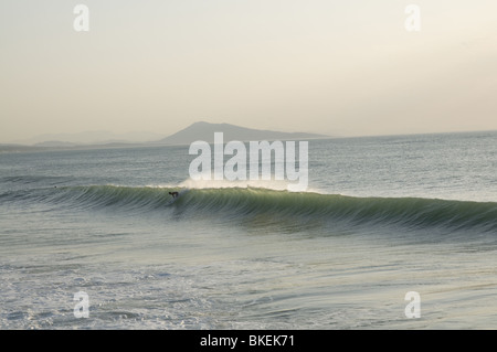 Miladys Strand in Biarritz in großen Wellen am Tag (Sommer) - Body Boarder, Surfen Stockfoto