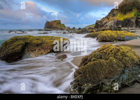 Felsküste bei Harris State Park Strand-Brookings, Oregon, USA. Stockfoto