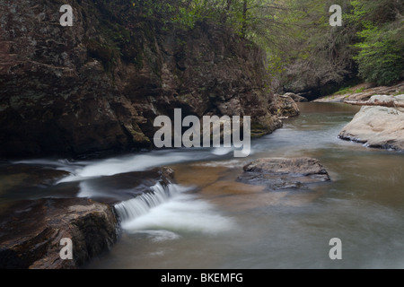 Chauga River, Chauga River Scenic Area, Andrews Pickens Ranger District, Sumter National Forest, South Carolina Stockfoto