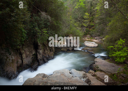 Chauga River Narrows, Chauga River Scenic Area, Andrews Pickens Ranger District, Sumter National Forest, South Carolina Stockfoto