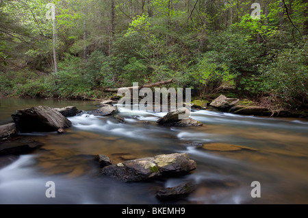 Chauga River, Chauga River Scenic Area, Andrews Pickens Ranger District, Sumter National Forest, South Carolina Stockfoto