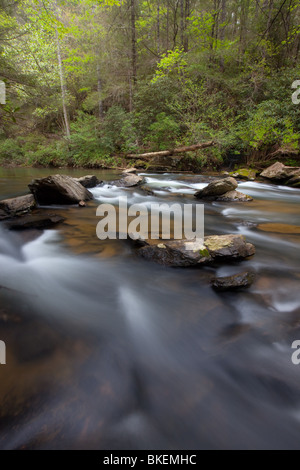 Chauga River, Chauga River Scenic Area, Andrews Pickens Ranger District, Sumter National Forest, South Carolina Stockfoto