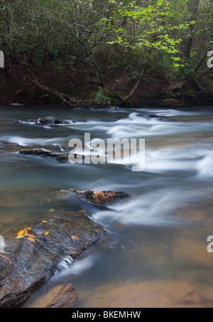 Chauga River, Chauga River Scenic Area, Andrews Pickens Ranger District, Sumter National Forest, South Carolina Stockfoto