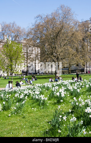 Büroangestellte genießen Saisonware April Frühlingssonne vor Narzissen in St James' Park, London Stockfoto