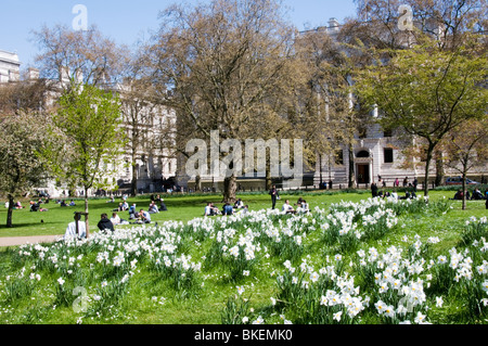 Büroangestellte genießen Saisonware April Frühlingssonne vor Narzissen in St James' Park, London Stockfoto