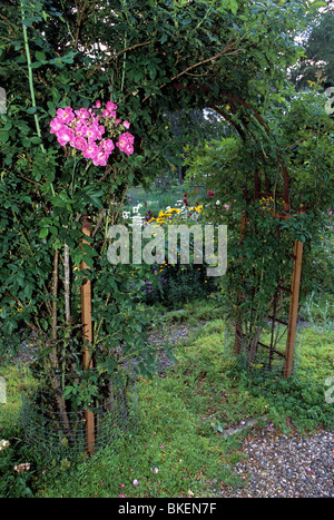 WILLIAM BAFFIN ROSEN SCHMÜCKEN ARBOR IN MINNESOTA GARTEN.  STAUDENGARTEN IM HINTERGRUND.  SOMMER. Stockfoto