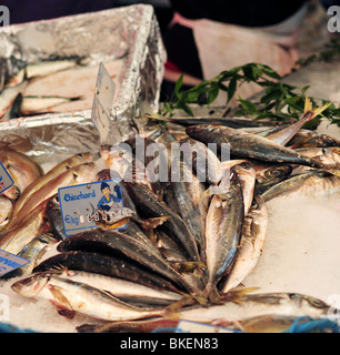 Fische auf dem Display im 6. Arrondissement von Paris Place Maubert Mutualité-Markt Stockfoto