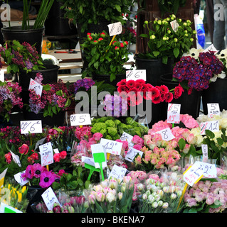 Blumensträuße von Blume in Paris Markt Stockfoto