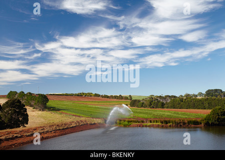 Bewässerung auf Pflanzen, Ackerland und Bewässerung Reservoir, Table Cape nahe Wynyard, North Western Tasmanien, Australien Stockfoto