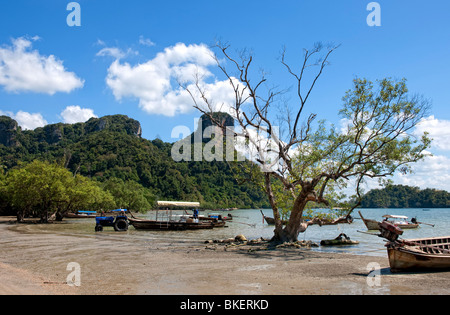 Thai Longtail-Boote am Strand in Krabi, Südthailand Stockfoto