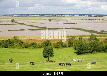 Rückzug, Verletzung bei Alkborough an der Mündung des Humber in Ostengland verwaltet Stockfoto