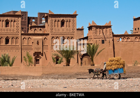 Amerhidil Kasbah in der Oasenstadt Skoura, Marokko Stockfoto