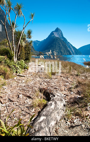 Gebirge mit See und Treibholz, Mitre Peak, Milford Sound, Südinsel, Neuseeland Stockfoto