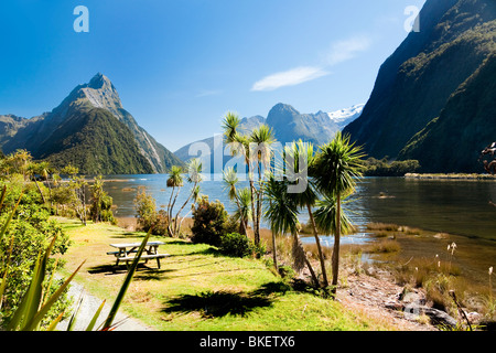 Gebirge mit See und Bäumen, Mitre Peak, Milford Sound, Südinsel, Neuseeland Stockfoto