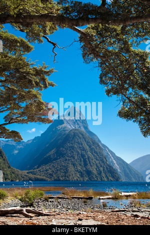 Gebirge mit See und Bäumen, Mitre Peak, Milford Sound, Südinsel, Neuseeland Stockfoto