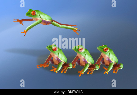 Frosch spielen leapfrog Stockfoto