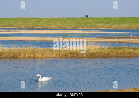 Freiston Shore RSPB Natur Reserve Lincolnshire UK Stockfoto