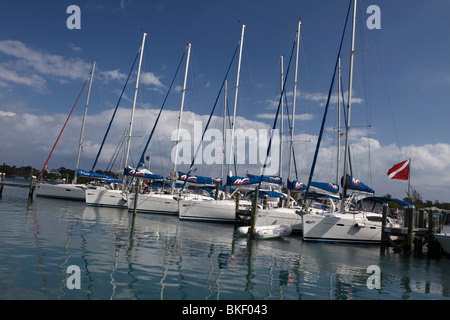 Flotte von Segelbooten bis im rutscht in einer Marina mit einer Tauchflagge festgemacht. Stockfoto