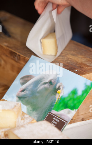 Mutterschafe Milch Käse gemacht auf Holker Farm Dairy im Süden Cumbria UK, für den Verkauf auf einem Bauernmarkt in Kendal, Cumbria, UK Stockfoto