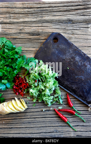 Chili, Koriander, Ingwer und Zitronengras alle Zutaten für gute Thai-Küche. Stockfoto