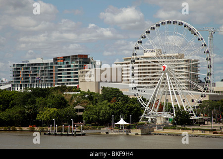 Riesenrad von Brisbane und Griffith University South Bank in Brisbane, Queensland, Australien Stockfoto