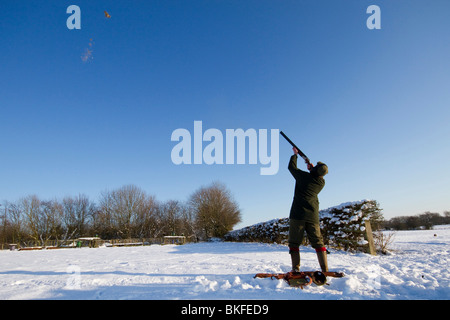 Mann schießende Fasan in Feld mit Schnee bedeckt.  Fasan werden erschossen und Federn kommen aus der Vogel. Stockfoto