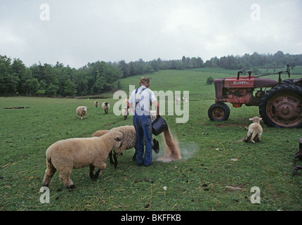 Ein Bauer in den Blue Ridge Mountains von Virginia Stockfoto