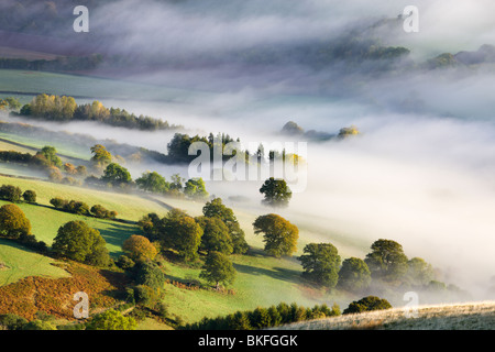 Nebel bedeckt Hügellandschaft in der Usk Valley, Brecon Beacons National Park, Powys, Wales, UK. Herbst (Oktober) 2009 Stockfoto