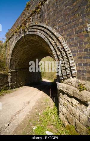 Eine Eisenbahnbrücke auf der alten Bahntrasse der Monsal Dale Stockfoto