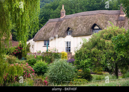 Ziemlich strohgedeckte Hütte in der Nähe von Crediton, Devon, England. Sommer (Juli) 2009 Stockfoto