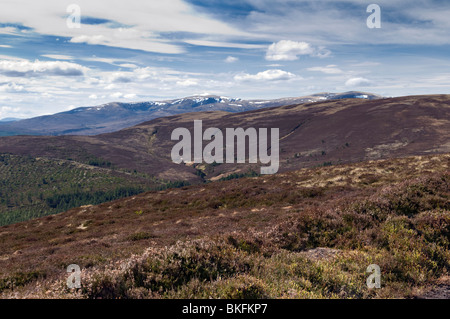 Blick vom Cnoc Fyrish nahe Alness mit Heidekraut bedeckten Berge mit Blick auf Ben Wyvis Stockfoto