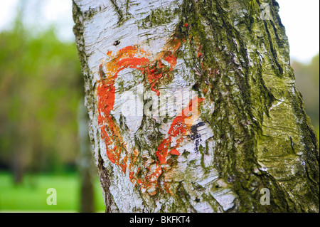 Herz auf Rinde gemalt Stockfoto